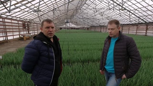 Бизнес идея:ИРИСЫ.Тепличный комплекс в Подмосковье