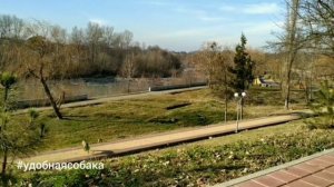Бельгийская овчарка ПРЫЖКИ МАЛИНУА