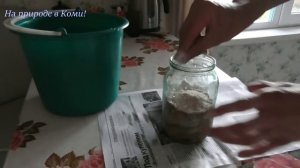 Как засолить грибы.