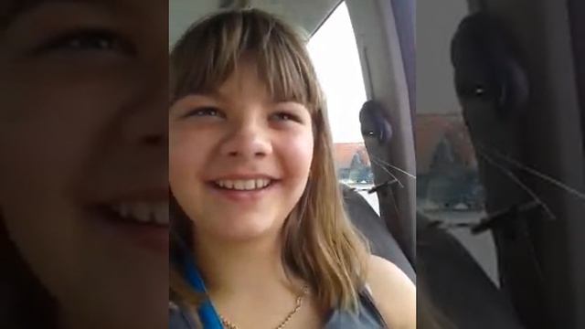 Казань смотреть онлайн