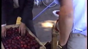 СТРАНИЦЫ ИСТОРИИ: Прогулка по Тавде (1989)