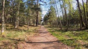 Велодорога на Куршской косе: 60 км за 20 минут