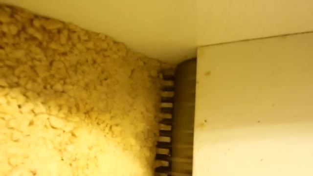 Дробилка ореховая Grind-100. Дробление арахиса