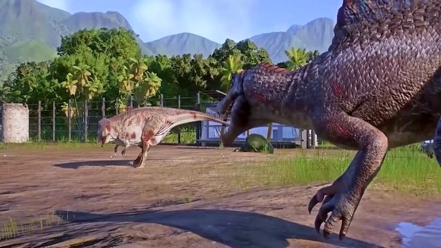 Choose The Right Gift Box Run Game With Elephant Cow Gorilla Buffalo Pig Trex Wild Animals Games смотреть онлайн