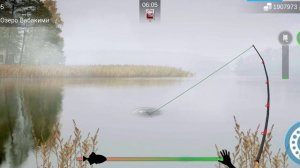 на что ловить рыбу капля в игре My Fishing World