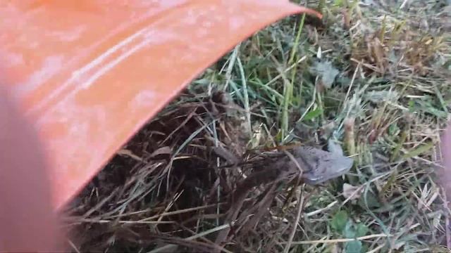 Обзор мотоблокаCARVER MT 700 смотреть онлайн