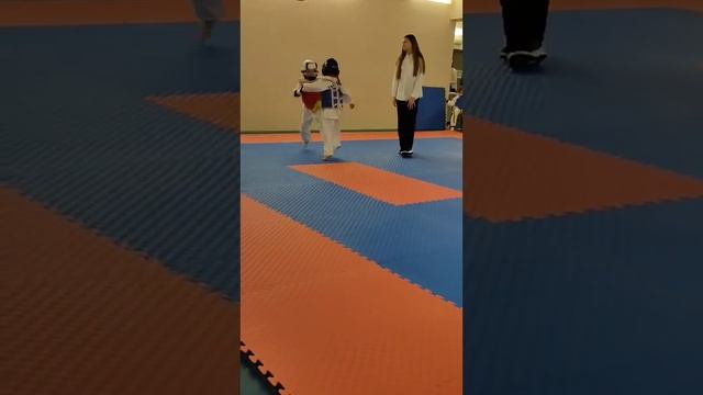 Taekwondo WTF Тхэквондо ВТФ Первые соревнования Юных спортсменов смотреть онлайн