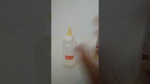 Вскармливание котят без кошки. Смеси для кормления котят. Бутылочка для котят