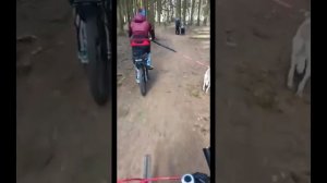 Выпуск 14. Обучение собаки двигаться с велосипедом