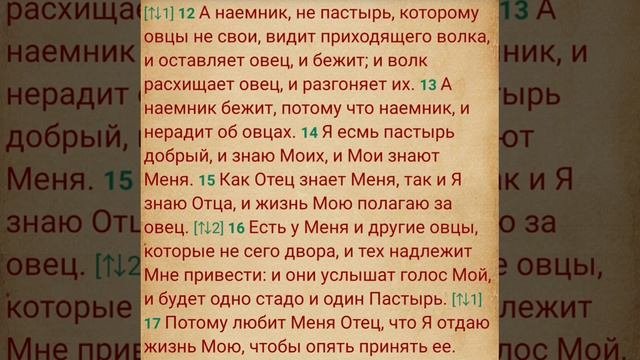 ПастЫрь и пастОр. Различие.