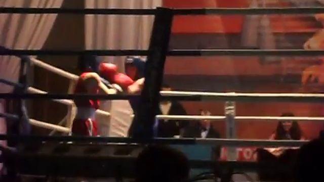 Скрынников Владимир Железногорск 2015