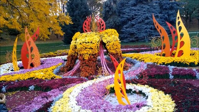 Певческое поле в Киеве. Выставка хризантем "Фантастическая история". 22.10.2017. смотреть онлайн