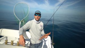 How to catch the Motherload of Hogfish -  Bacon Quest Reloaded