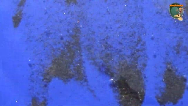 Доводочный стол для промывки золота -Water table for gold