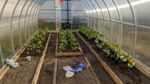 ? Добро пожаловать ко мне на канал ? Загородная жизнь с нуля