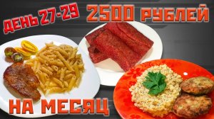 Выживаю месяц на 2500 рублей. День 27-29.