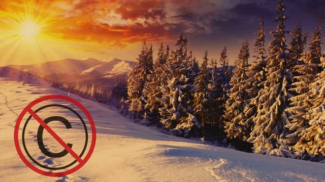 #copyright_say_no Tony Junior & Baggi Begovic - Plur Warriors (Geil3 Bootleg) смотреть онлайн