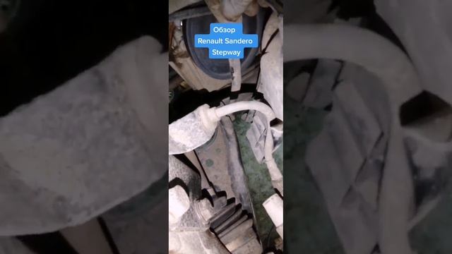 VID_20220925_102611_570.mp4