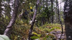 Кольский Мото–Путешествие на электро-мотоциклах