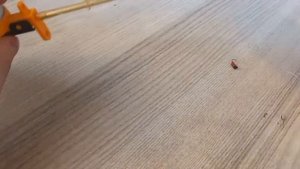 Оснастка зимней удочки, для ловли сига на Кольском Полуострове)