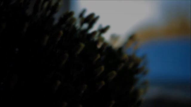 Сделайте это на БЛАГОВЕЩЕНИЕ! И что нельзя делать 7 апреля / ГороскопПрогноз смотреть онлайн