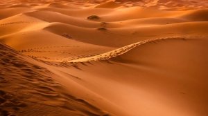 Back to Earth. At the Edge of Silence