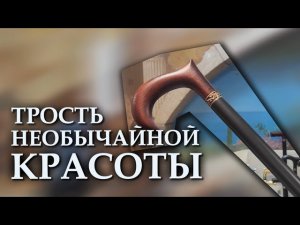 Элитная трость | Современник Шоколад