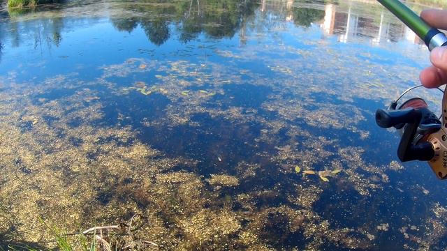 Ловля ротана смотреть онлайн