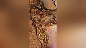 Денежное дерево