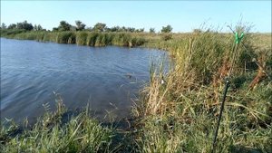 Рыбалка на карася на реке Тузлов  (деревня Лысогорка)