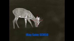 !!TEST!! IRay Saim SCH50 - video z testu - srnčí