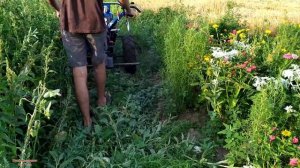 КУПИЛ КОСИЛКУ / УЧУСЬ КОСИТЬ ТЯЖЁЛЫМ МОТОБЛОКОМ / ДОРАБОТКИ/ ТЕПЕРЬ РАБОТАТЬ ОДНО УДОВОЛЬСТВИЕ