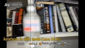 Canon RF 70-200mm f/4 'L' IS USM lens review