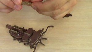 Жук Олень из картона❗3D d-torso?❗