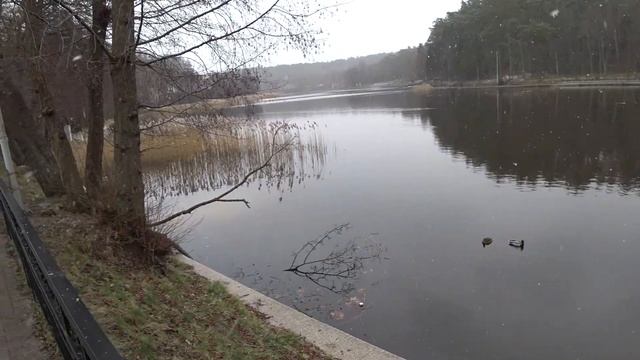 Светлогорск. Балтийское море. Кенигсберг в миниатюре. Набережная смотреть онлайн