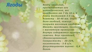 Лора виноград Флора