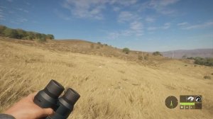 ШИКАРНАЯ ОХОТА В АФРИКЕ.  МНОГО ТРОФЕЕВ.  theHunter Call of the Wild # 238