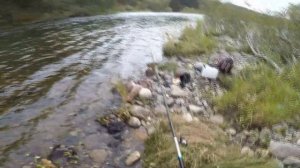 СУМАСШЕДШИЙ КЛЁВ ХАРИУСА НА ВЕРХНЕЙ ТЕРСИ ЧАСТЬ 1