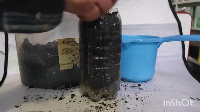 Приготовление грунта, высадка саженцев винограда в контейнер. смотреть онлайн