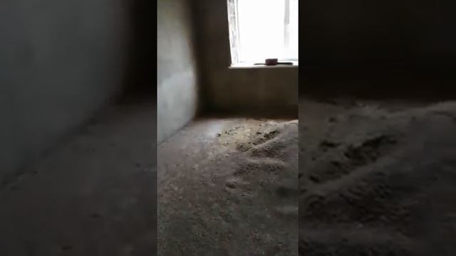 Продается дом в селе Китаевское смотреть онлайн