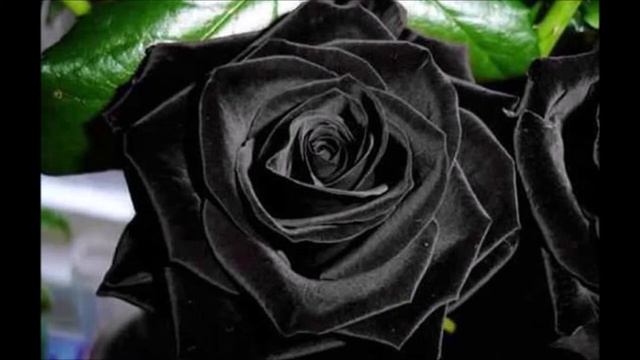 NOVA А Ты Танцуй смотреть онлайн