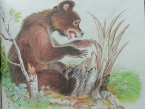 Виталий Бианки - музыкант