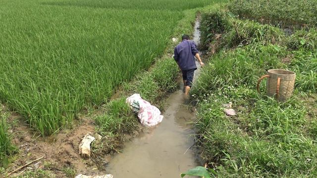 Go to the fields to catch fish and bring them to the market to sell | Farm смотреть онлайн