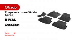 Автомобильные коврики салона для Skoda Karoq 2020-.mp4