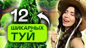 ПОСАДИЛ И ЗАБЫЛ! 12 самых НЕПРИХОТЛИВЫХ ТУЙ для 6 соток