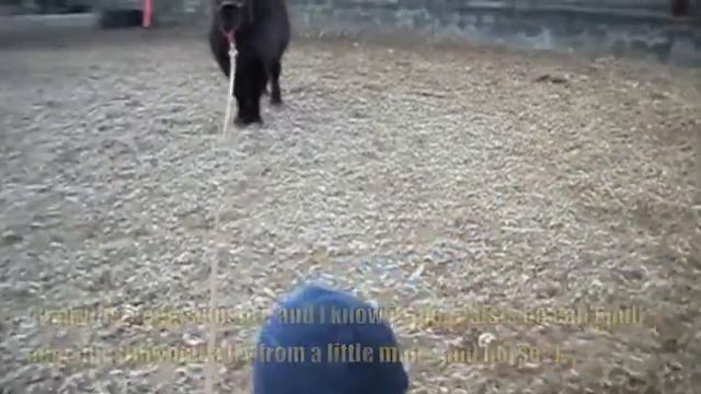 Arthur and Amaryllis first try with "True connection":) смотреть онлайн