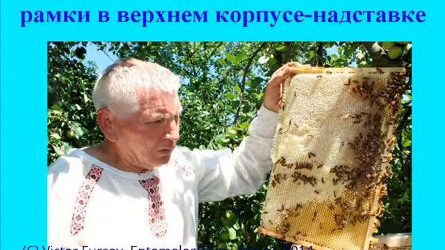 Эффективные Ульи и Рамки Василия Приятеленко, APISLAVIA Congress 2014, Ukraine