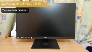 Монитор Iiyama ProLite XUB2493HSU-B1