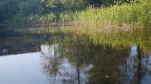 #38 #спиннинг #kuusamo Самый короткий обзор на блесну Kuusamo Rasanen
