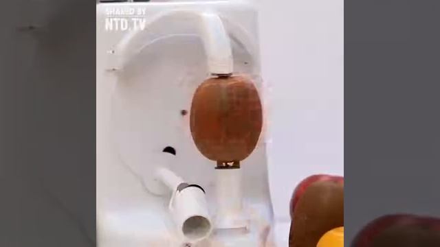 МАШИНА ДЛЯ ОЧИЩЕНИЯ ФРУКТОВ И ОВОЩЕЙ